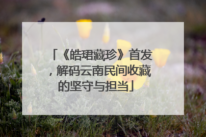 《皓珺藏珍》首发，解码云南民间收藏的坚守与担当