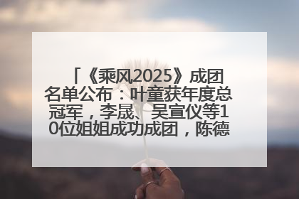 《乘风2025》成团名单公布：叶童获年度总冠军，李晟、吴宣仪等10位姐姐成功成团，陈德容获年度高光人物