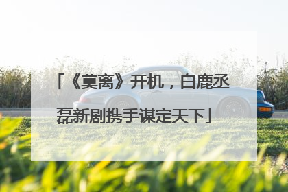 《莫离》开机，白鹿丞磊新剧携手谋定天下