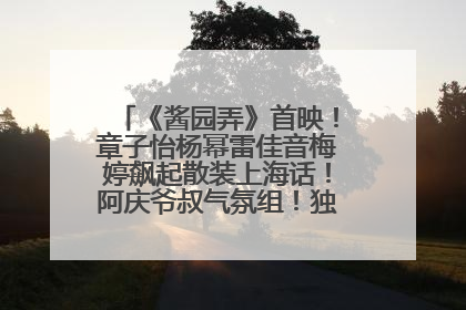 《酱园弄》首映！章子怡杨幂雷佳音梅婷飙起散装上海话！阿庆爷叔气氛组！独独没见他……