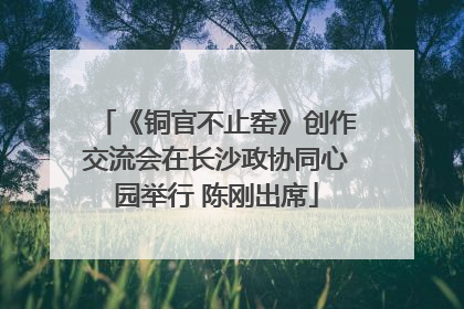 《铜官不止窑》创作交流会在长沙政协同心园举行 陈刚出席