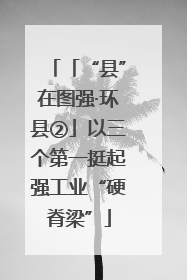 「“县”在图强·环县②」以三个第一挺起强工业“硬脊梁”