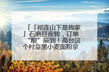 「祁连山下是我家」石磨昼夜转，订单“粮”辰到！高台这个村靠黑小麦面粉拿下成立来最大订单