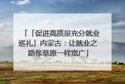 「促进高质量充分就业巡礼」内蒙古：让就业之路像草原一样宽广