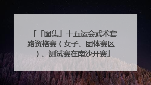 「图集」十五运会武术套路资格赛（女子、团体赛区）、测试赛在南沙开赛
