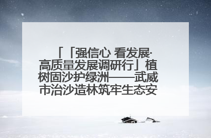 「强信心 看发展·高质量发展调研行」植树固沙护绿洲——武威市治沙造林筑牢生态安全屏障见闻