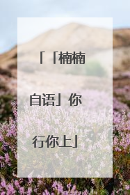 「楠楠自语」你行你上