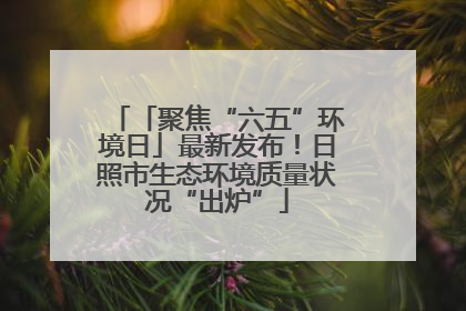 「聚焦“六五”环境日」最新发布！日照市生态环境质量状况“出炉”