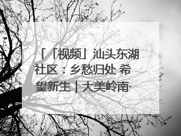 「视频」汕头东湖社区：乡愁归处 希望新生｜大美岭南·百村焕新记