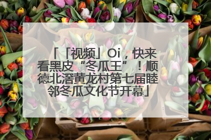 「视频」Oi，快来看黑皮“冬瓜王”！顺德北滘黄龙村第七届睦邻冬瓜文化节开幕