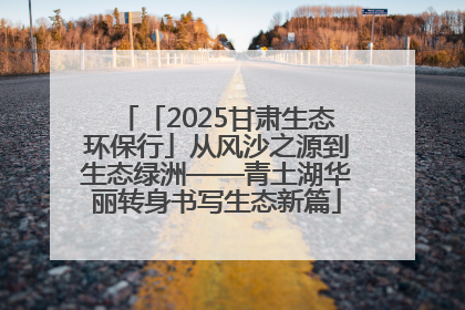 「2025甘肃生态环保行」从风沙之源到生态绿洲——青土湖华丽转身书写生态新篇