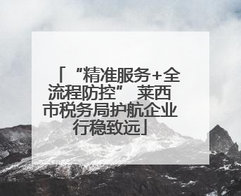 “精准服务+全流程防控” 莱西市税务局护航企业行稳致远