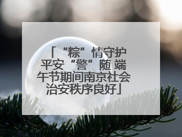 “粽”情守护 平安“警”随 端午节期间南京社会治安秩序良好