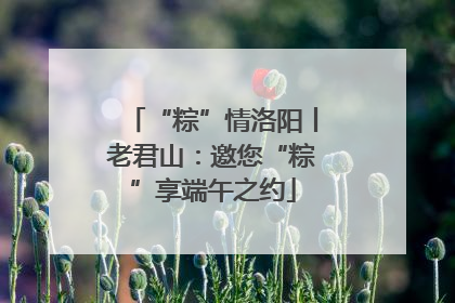 “粽”情洛阳丨老君山：邀您“粽”享端午之约