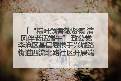 “粽叶飘香敬贤德 清风伴老话端午” 致公党李沧区基层委携手兴城路街道四流北路社区开展端午节主题活动