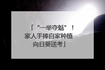 “一举夺魁”！家人手捧自家种植向日葵送考