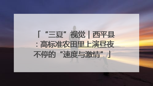“三夏”视觉｜西平县：高标准农田里上演昼夜不停的“速度与激情”