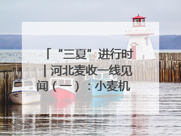 “三夏”进行时｜河北麦收一线见闻（一）：小麦机收减损“竞技” 农机高手麦田“过招”