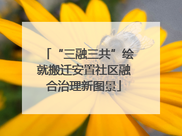 “三融三共”绘就搬迁安置社区融合治理新图景