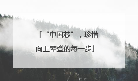 “中国芯”，珍惜向上攀登的每一步