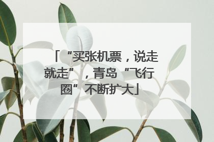 “买张机票，说走就走”，青岛“飞行圈”不断扩大