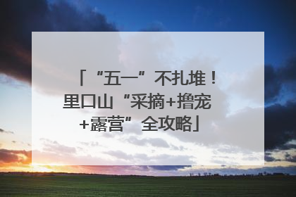 “五一”不扎堆！里口山“采摘+撸宠+露营”全攻略