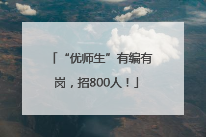 “优师生”有编有岗，招800人！