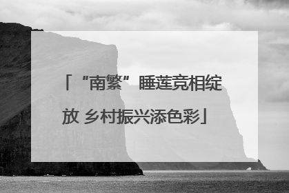 “南繁”睡莲竞相绽放 乡村振兴添色彩