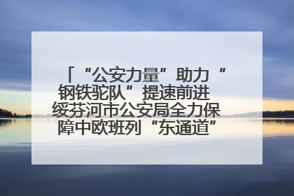 “公安力量”助力“钢铁驼队”提速前进 绥芬河市公安局全力保障中欧班列“东通道”绥芬河隧道贯通