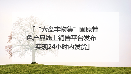 “六盘丰物集”固原特色产品线上销售平台发布 实现24小时内发货