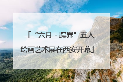 “六月 - 跨界”五人绘画艺术展在西安开幕