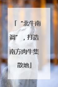 “北牛南调”，打造南方肉牛集散地