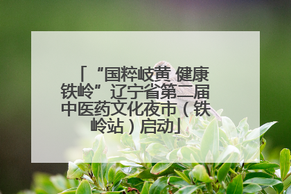 “国粹岐黄 健康铁岭”辽宁省第二届中医药文化夜市（铁岭站）启动