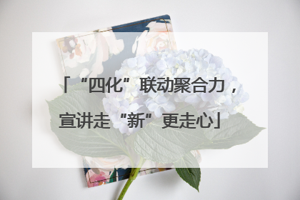 “四化”联动聚合力，宣讲走“新”更走心