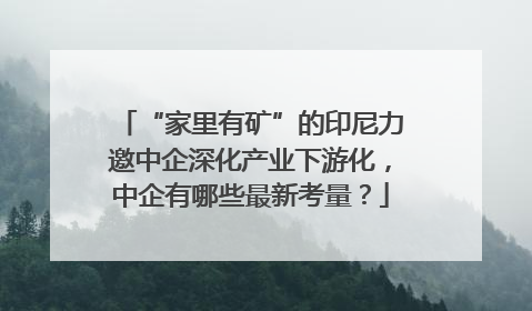“家里有矿”的印尼力邀中企深化产业下游化，中企有哪些最新考量？