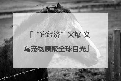 “它经济”火爆 义乌宠物展聚全球目光