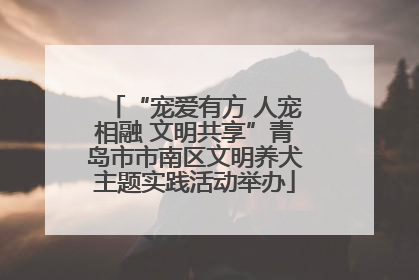 “宠爱有方 人宠相融 文明共享”青岛市市南区文明养犬主题实践活动举办