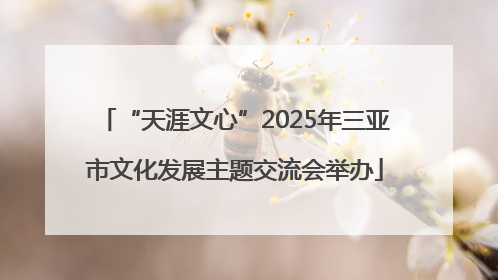 “天涯文心”2025年三亚市文化发展主题交流会举办
