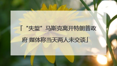 “失望”马斯克离开特朗普政府 媒体称当天两人未交谈
