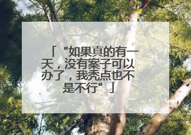“如果真的有一天，没有案子可以办了，我秃点也不是不行”