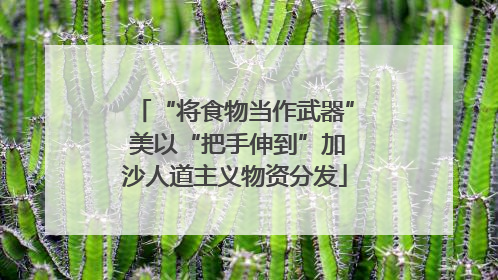 “将食物当作武器” 美以“把手伸到”加沙人道主义物资分发