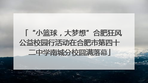 “小篮球，大梦想”合肥狂风公益校园行活动在合肥市第四十二中学南城分校圆满落幕