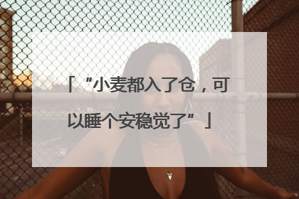 “小麦都入了仓，可以睡个安稳觉了”