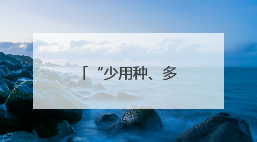 “少用种、多收粮”有何秘诀？——湖北襄阳小麦夏收见闻