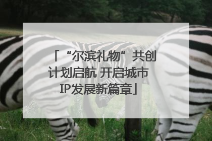 “尔滨礼物”共创计划启航 开启城市IP发展新篇章