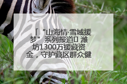 “山海情·雪域援梦”系列报道⑪ 潍坊1300万援藏资金，守护藏区群众健康“最后一公里”