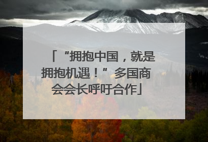 “拥抱中国，就是拥抱机遇！”多国商会会长呼吁合作