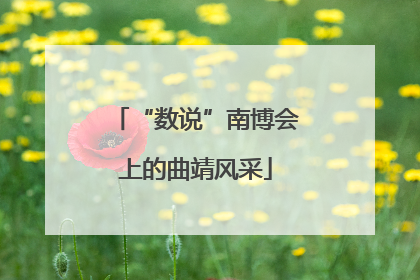 “数说”南博会上的曲靖风采