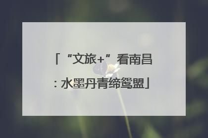 “文旅+”看南昌：水墨丹青缔鸳盟