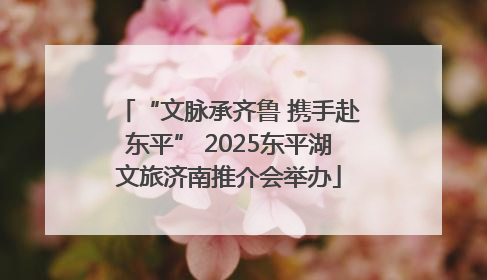 “文脉承齐鲁 携手赴东平” 2025东平湖文旅济南推介会举办